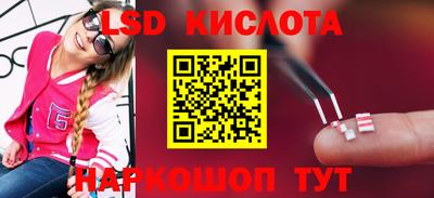 шишки Камышлов
