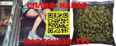 шишки Камышлов
